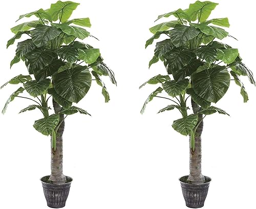 AMERIQUE Par de plantas artificiales de oreja de elefante hawaiano real de 6 pies con hojas gigantes, protección UV, tecnología Feel Real, verde, 2