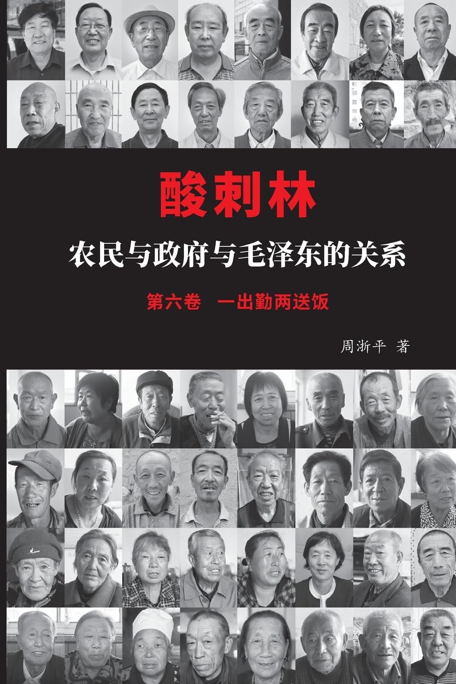 酸刺林:农民与政府与毛泽东的关系(六卷)