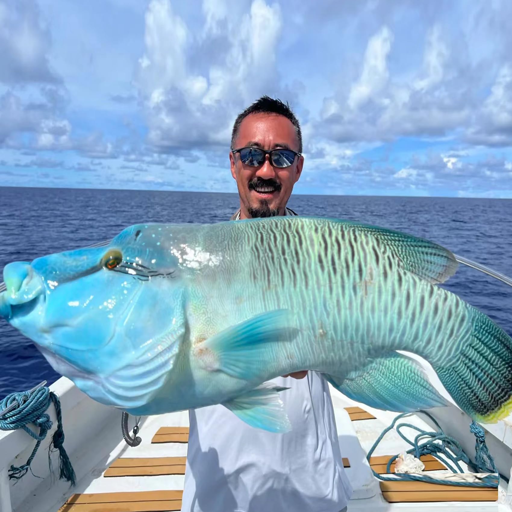 Ami da pesca con gamberetti fissi in acciaio al carbonio con fori, 2/3/4 ami da pesca per pesce gatto, che possono adattarsi a varie pesche