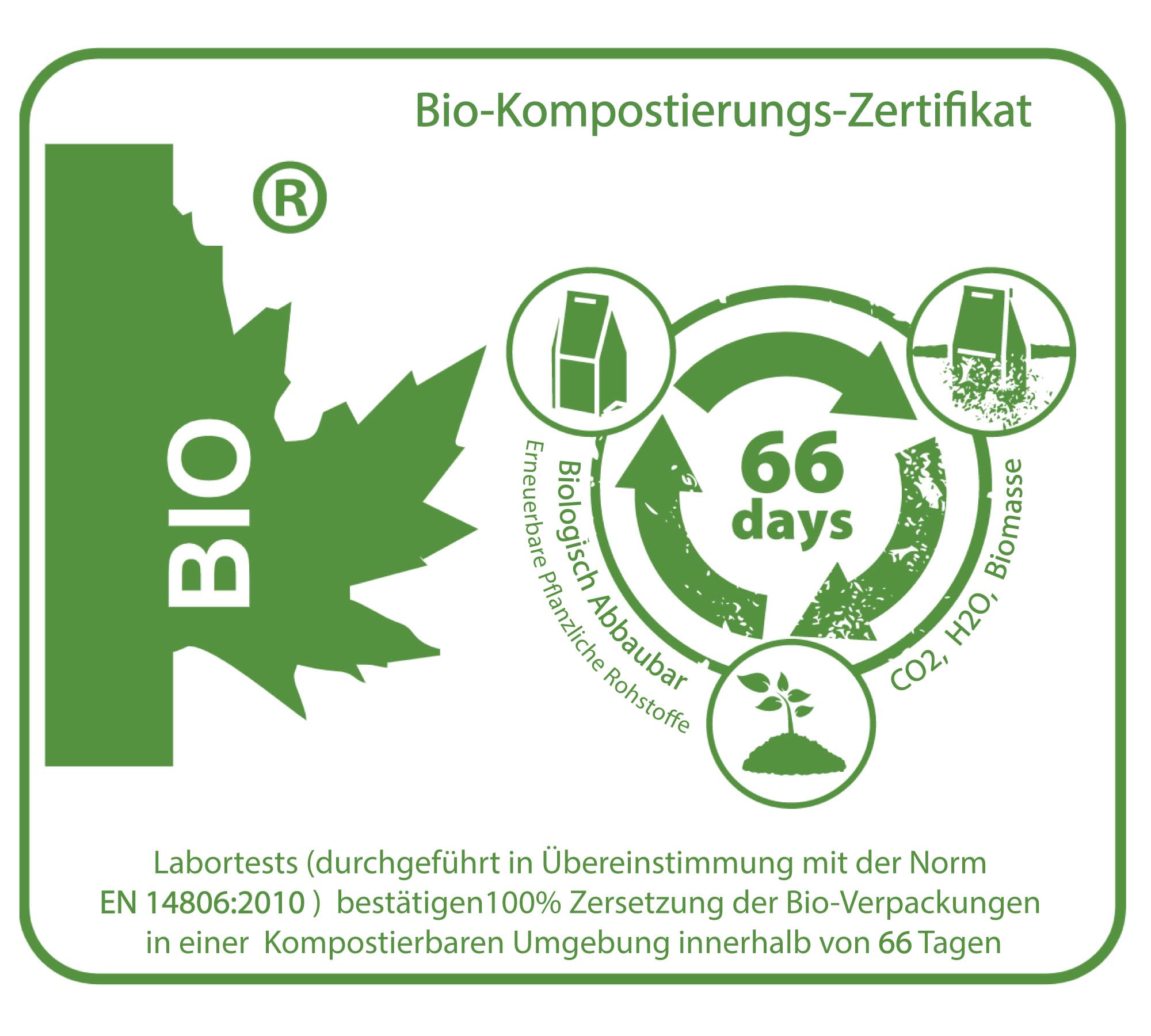 SPINTZ® 420 Stk. Bio Ingwer Kapseln - vegane Ingwer Kapseln hochdosiert - 2000 mg Ingwer Pulver Bio je Tagesdosis - Ingwerwurzel gemahlen | plastikfrei und nachhaltig verpackt