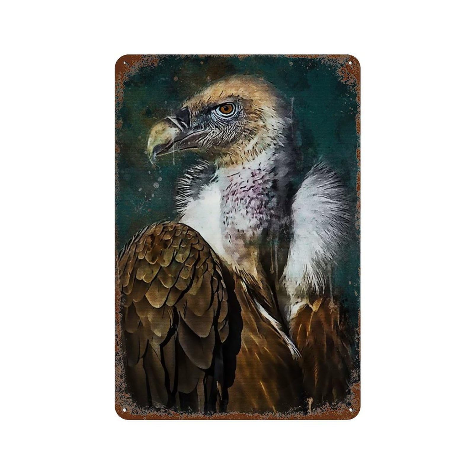 Rust Effect Splatter Vulture Aged Metal Wall Plaque 11.8"x7.9", Shabby Chic Decor for Living Room, Hallway And Home Decor