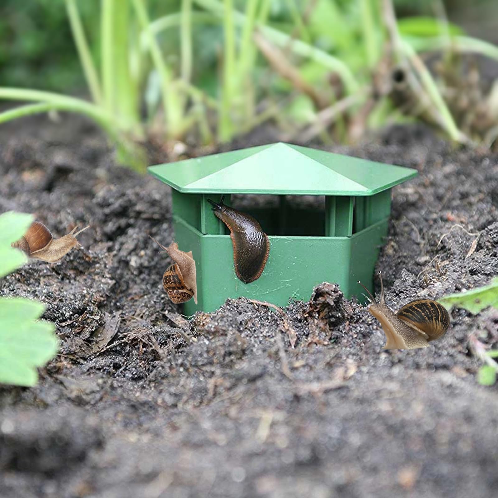 Set di 6 trappole riutilizzabili per lumache da giardino, trappola per lumache con birra, efficaci contro le lumache, sicure e pulite, per acquari, confezione da 6