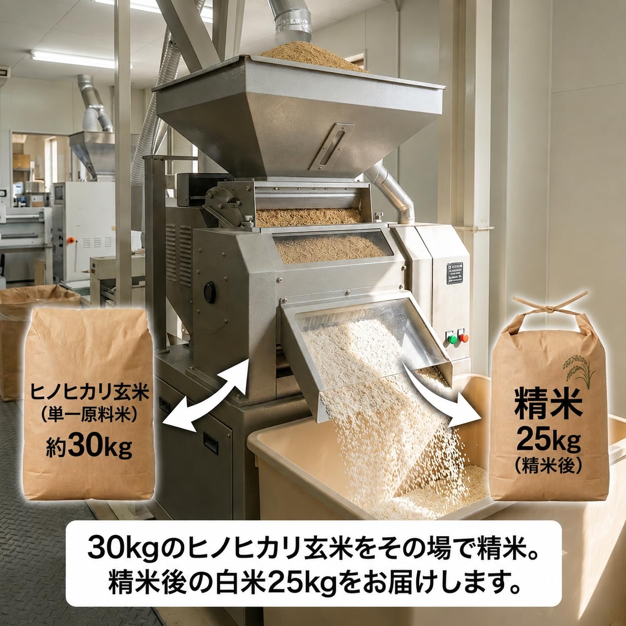 Amazon.co.jp: 米 令和8年産 新米 精米 25kg 高知県産 【 ヒノヒカリ