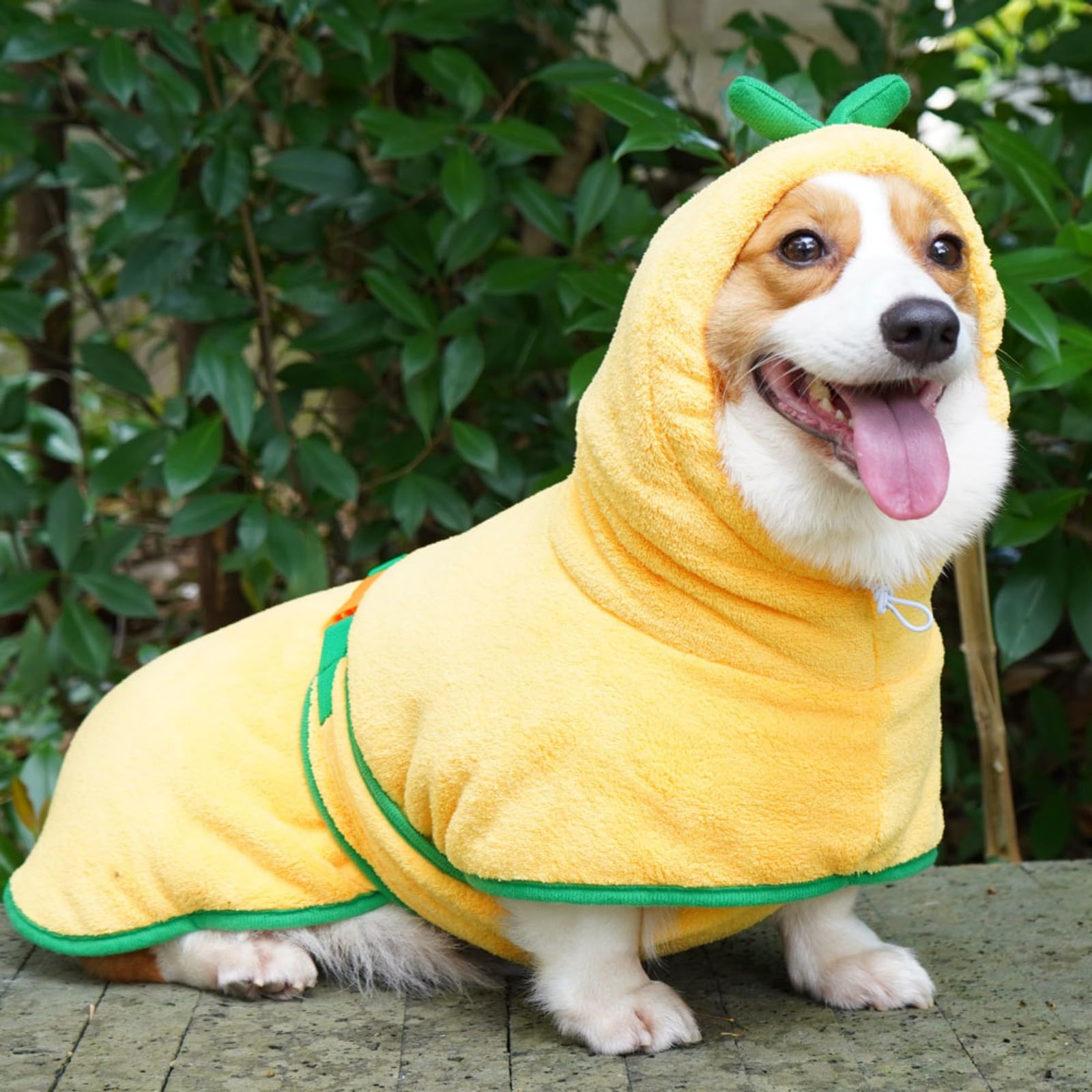 Amazon | 犬用バスタオル マンゴー イエロー ペット用バスローブ