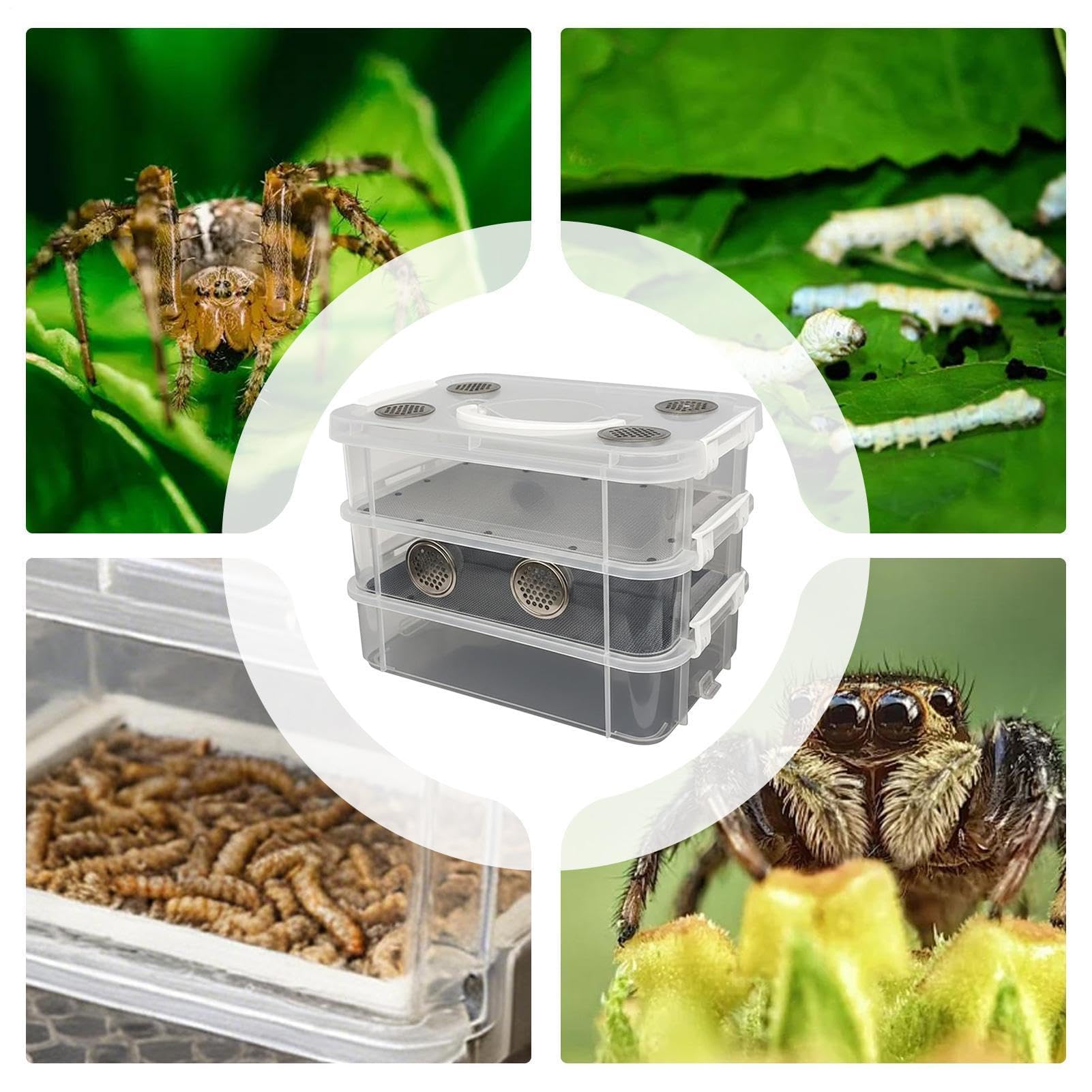 Worm Farm Kit – odporne na zapachy pudełko hodowlane z narzędziami do czyszczenia hodowli mączników, idealne do karmienia zwierząt i edukacji w klasie