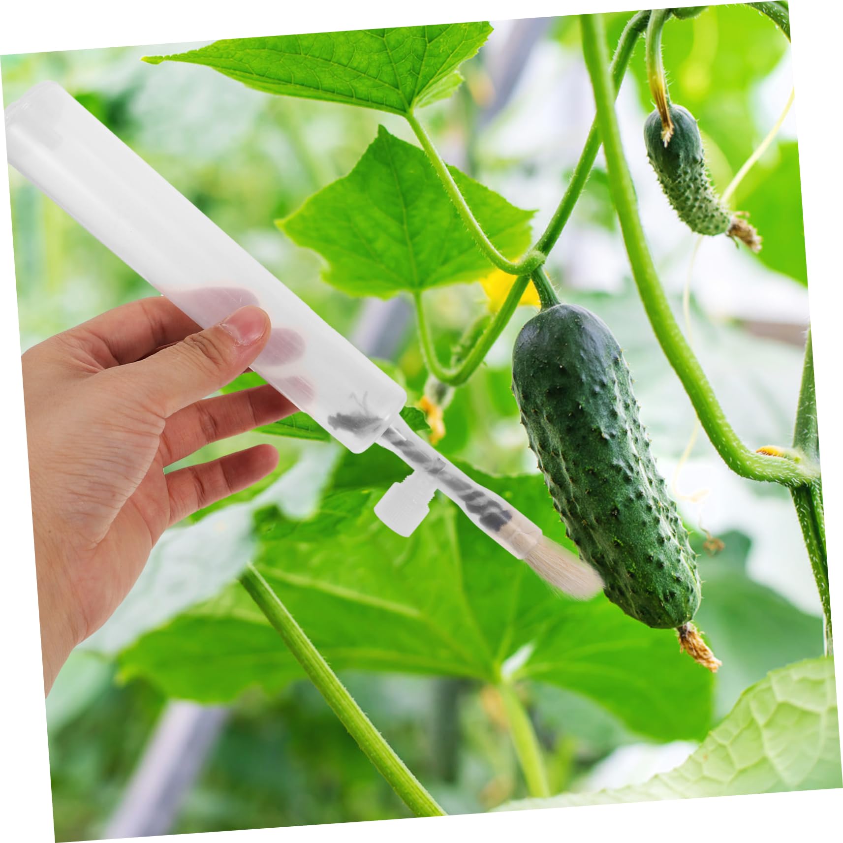 ibasenice 4 Ensembles Outil De Pollinisation De Jardin Applicateur De Pollinisation pour Légumes Fruits Et Fleurs Outils De Jardinage Efficaces pour Augmenter Rendements 2 Pièces * 4