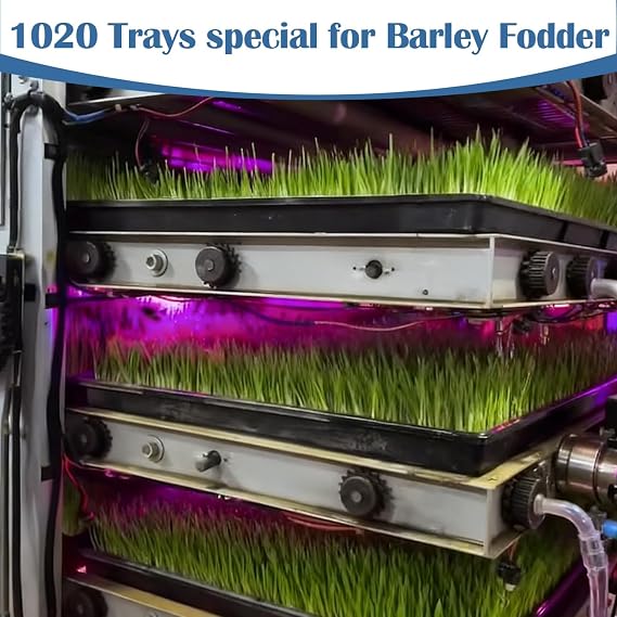 50-Pack Heavy-Duty 1020 Seed Trays No Holes, Thick Plastic Plant Flats