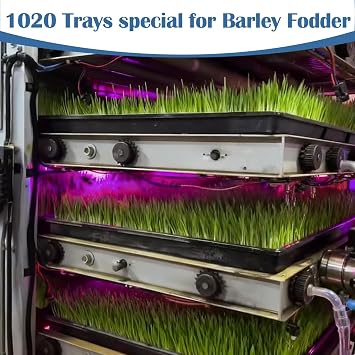 50-Pack Heavy-Duty 1020 Seed Trays No Holes, Thick Plastic Plant Flats