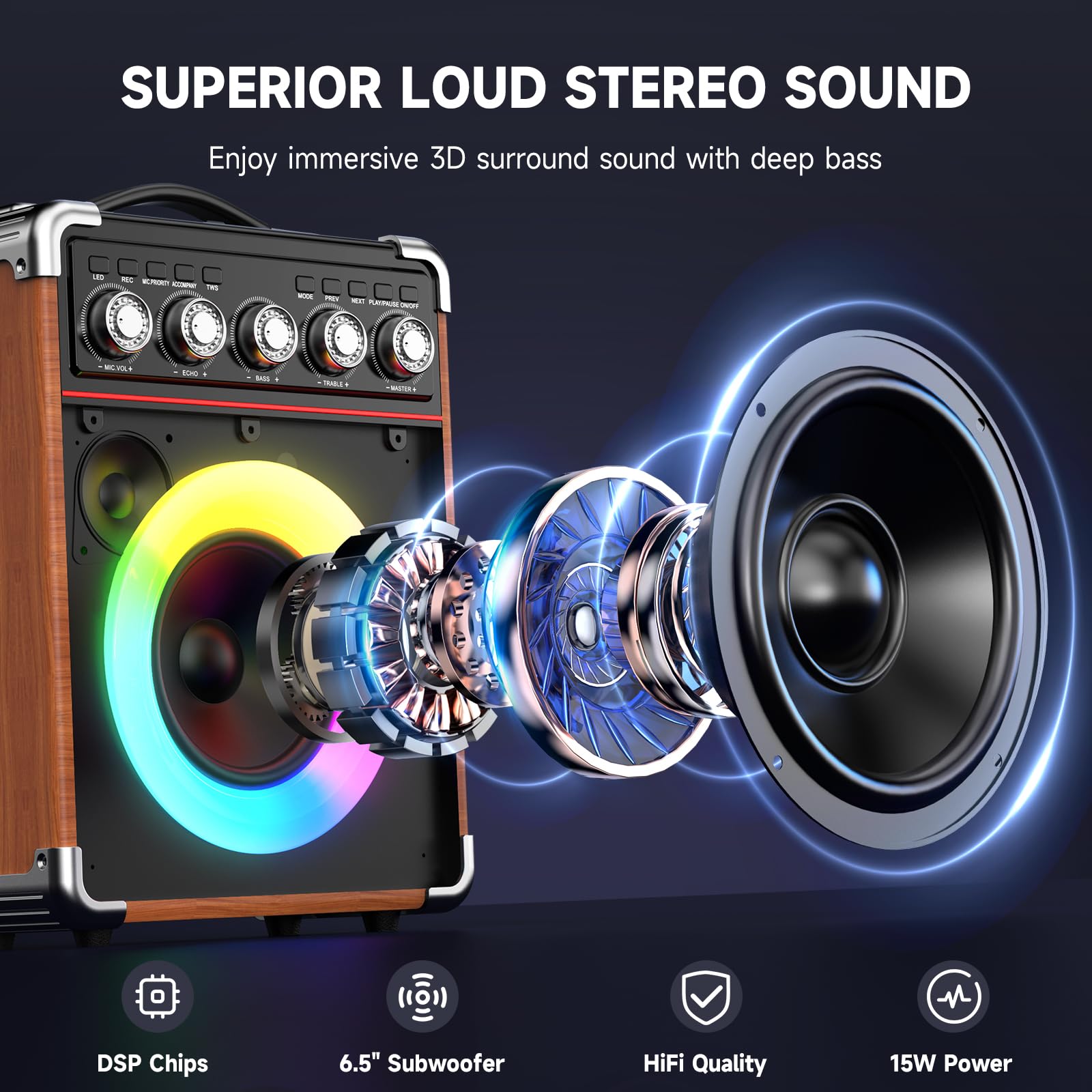 HWWR Portable Karaoke Machine 100W Wood Speakers - Dettaglio