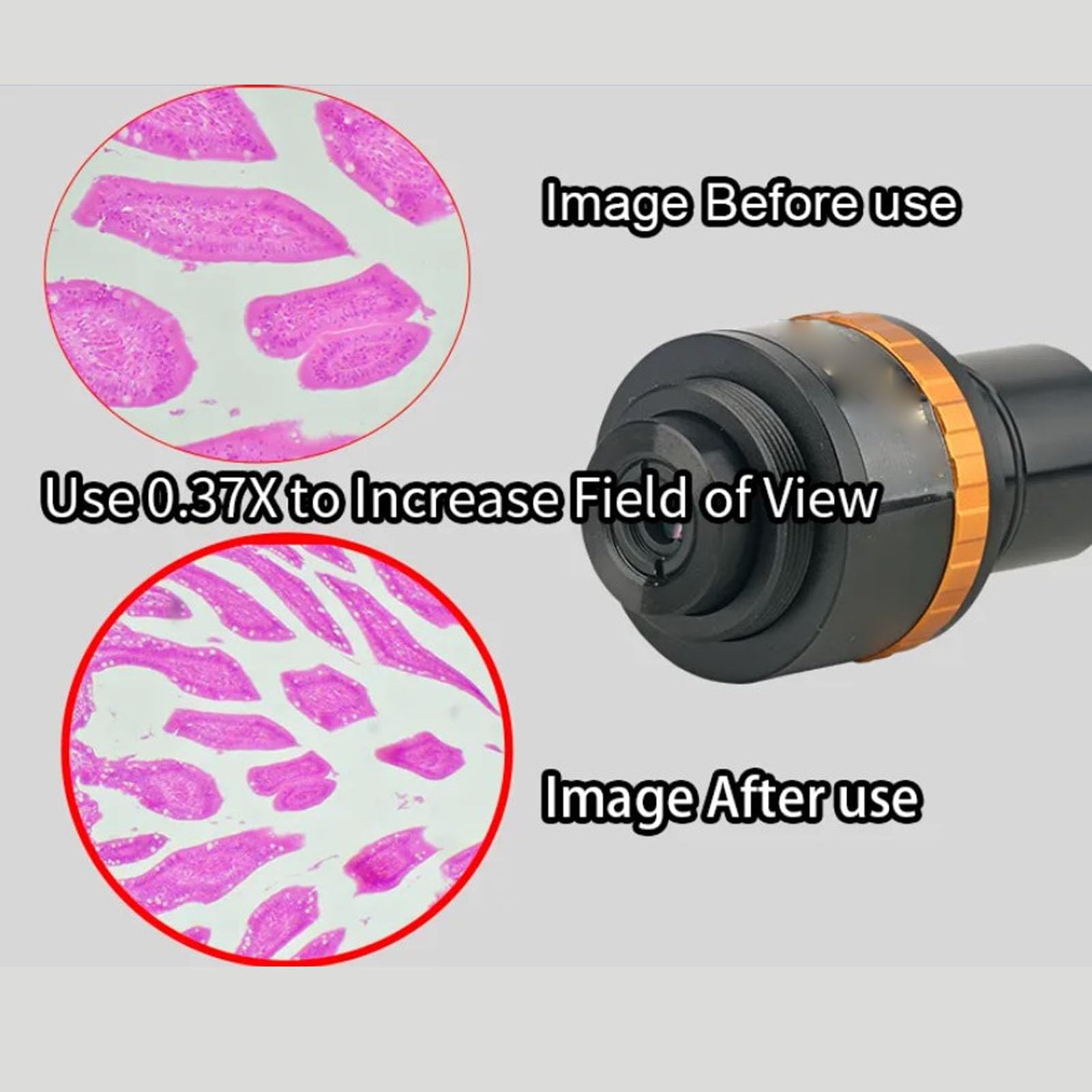 Ejoyous Oculare Elettronico per Microscopio, Lente per Oculare Digitale in Lega di Alluminio Messa a Fuoco Regolabile 0,5X con Adattatore da 23,2 Mm a 30 Mm 30,5 per Microscopio Biologico da