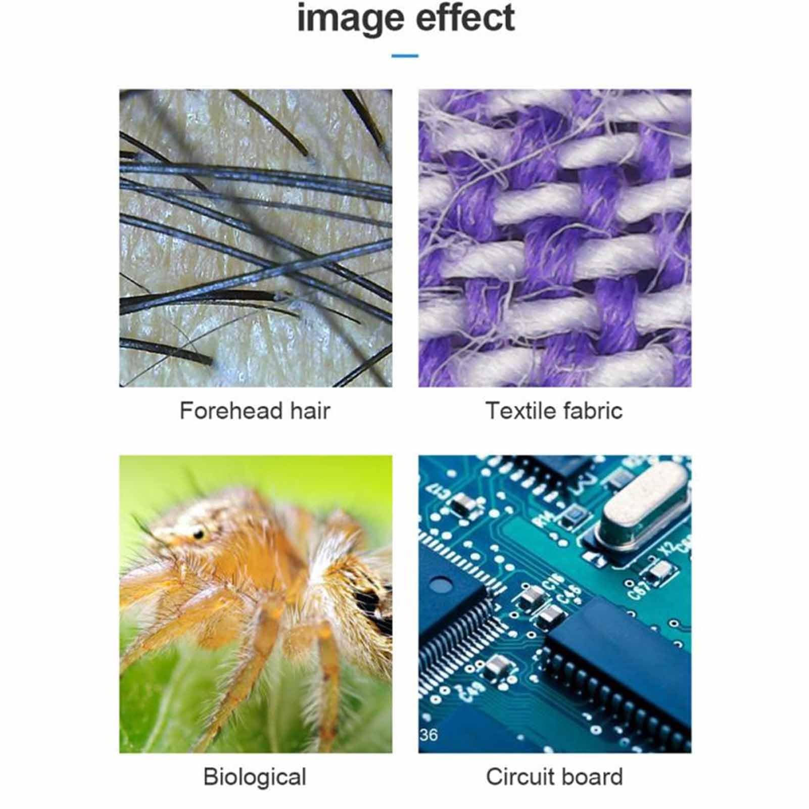 Microscopio Digitale Wireless, Ingrandimento da 50X a 1000X Risoluzione 640X480P Fotocamera per Microscopio USB WiFi, Telecamera di Ispezione HD Portatile con 8 Luci LED