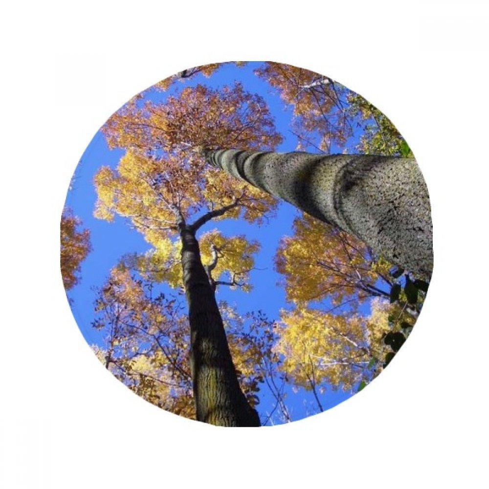 Tapis de sol rond paysage feuilles rouges, une idée cadeau originale pour la maison