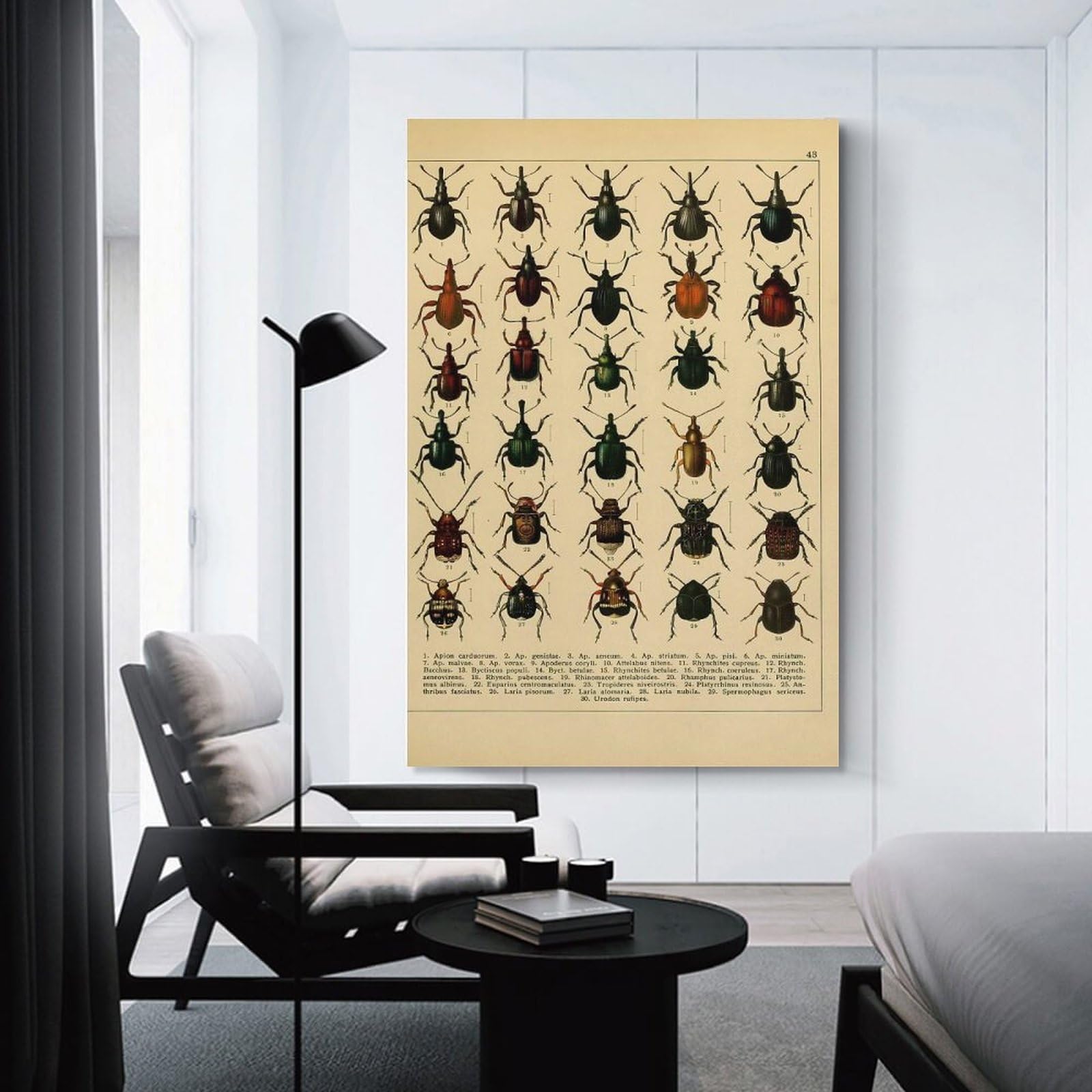 Junmoney Vintage Insect Canvas Wall Decor 20x30inch(50x75cm), for Lounge, Study, Hallway Or Flat Walls, Canvas Wall Art That Fits Changing Layouts