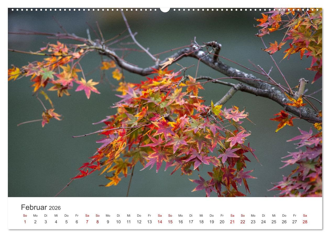 Japanischer Herbst und Laub (Wandkalender 2026 DIN A2 quer), CALVENDO Monatskalender: Medizin für die Seele (CALVENDO Natur)