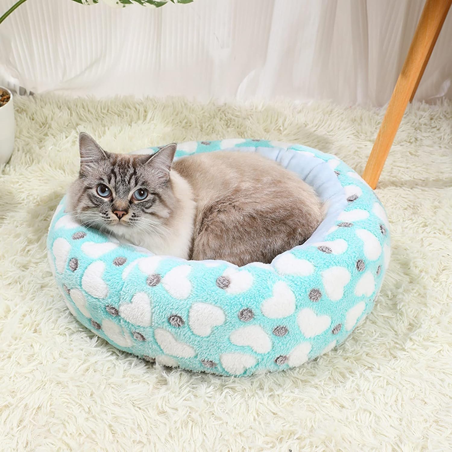 review Dog Beds Dog Bed Small My Past Orders Round Kitten Beds for Indoor Kittens Washable Donut Dog Bed Self Warming Cat Mat Fluffy Soft Anti Anxiety Dog Bed Dog Bed