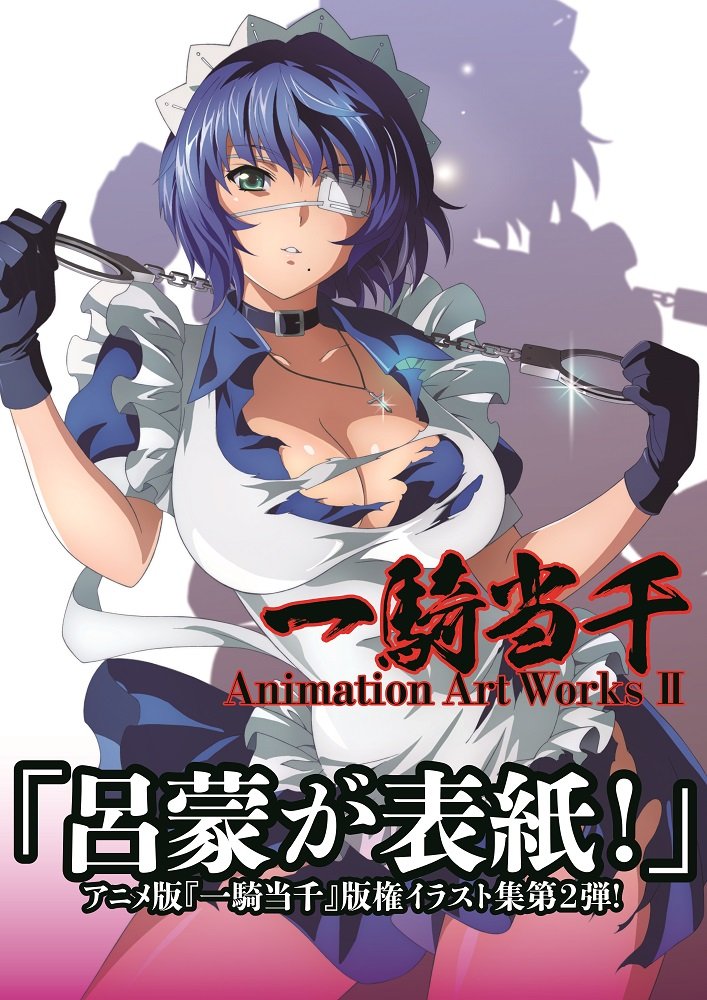 一騎当千 Animation Art Works I & II 一騎当千 Animation Art Works Ⅱ | コミックガム