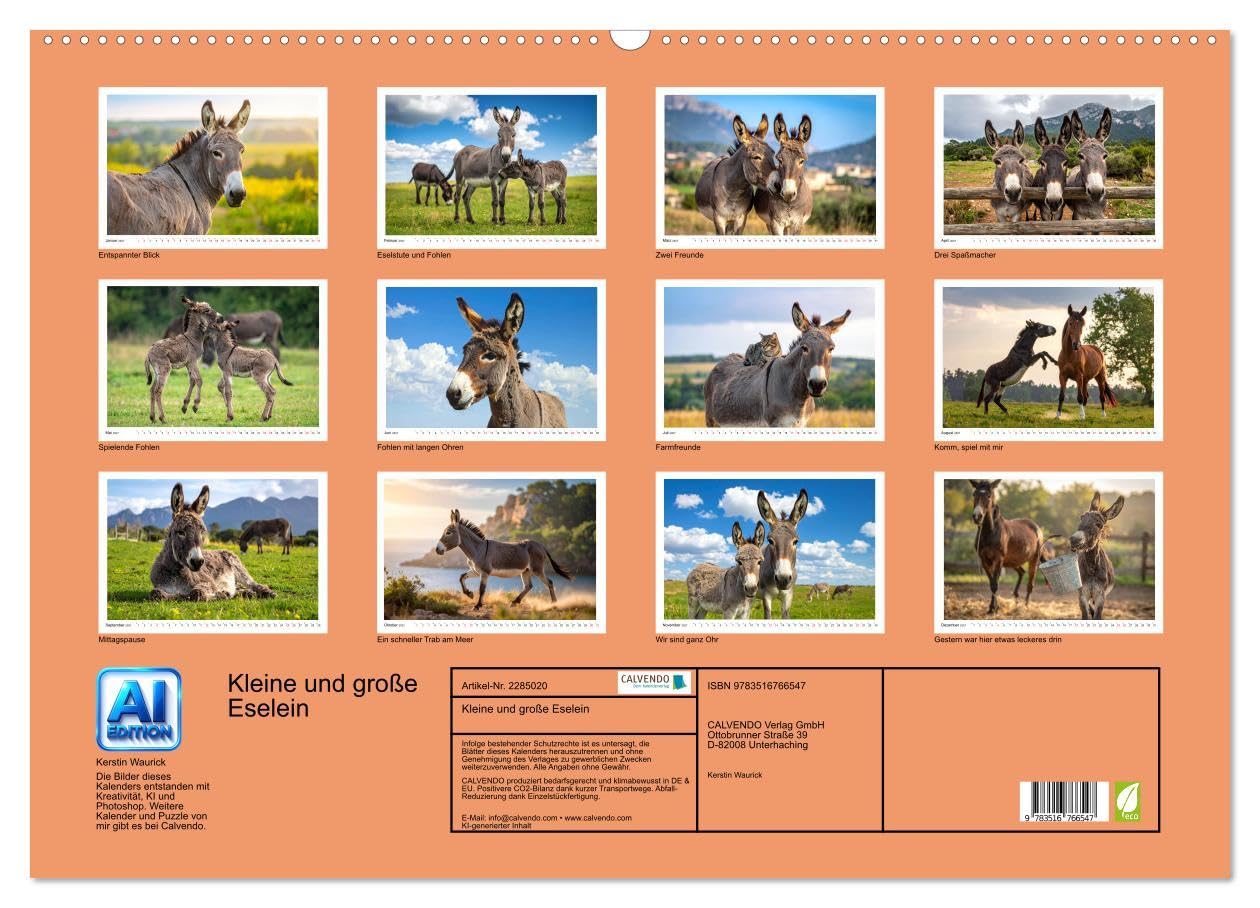 Kleine und große Eselein (Wandkalender 2027 DIN A2 quer), CALVENDO Monatskalender: Weiche Ohren, sanfte Seelen, lustige Stimmung - so sind Esel (CALVENDO Tiere)