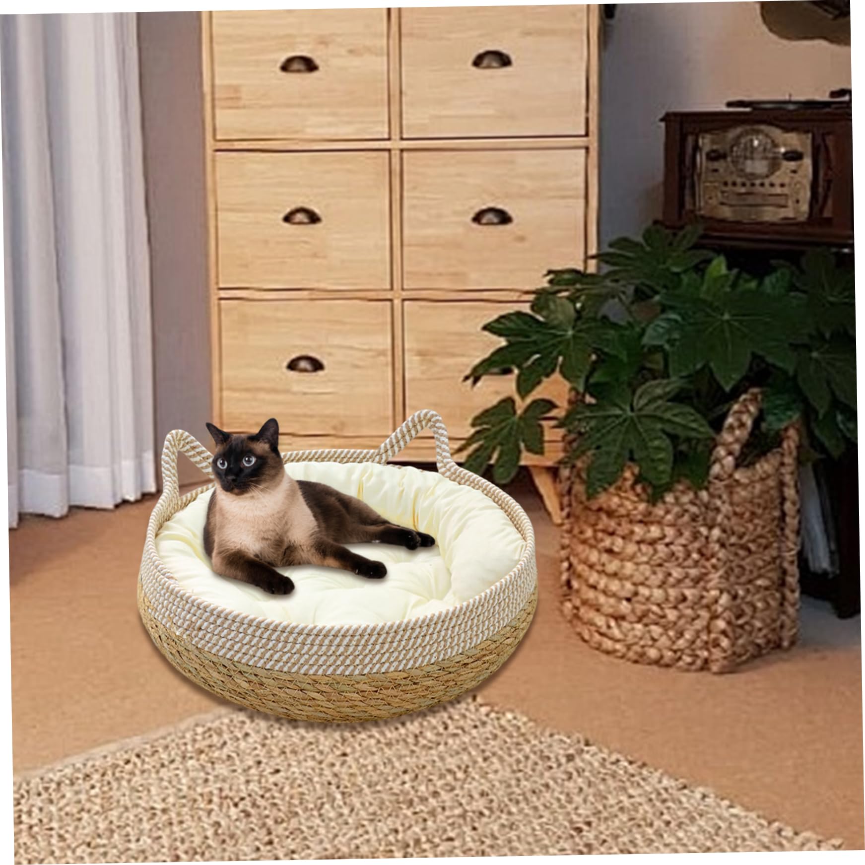 Lits de Chats pour Chats intérieurs, paniers de Chat tissés 16 x 6 Pouces avec Coussin Doux, lit Chaton à l'épreuve des Rayures Panier Rond Confortable