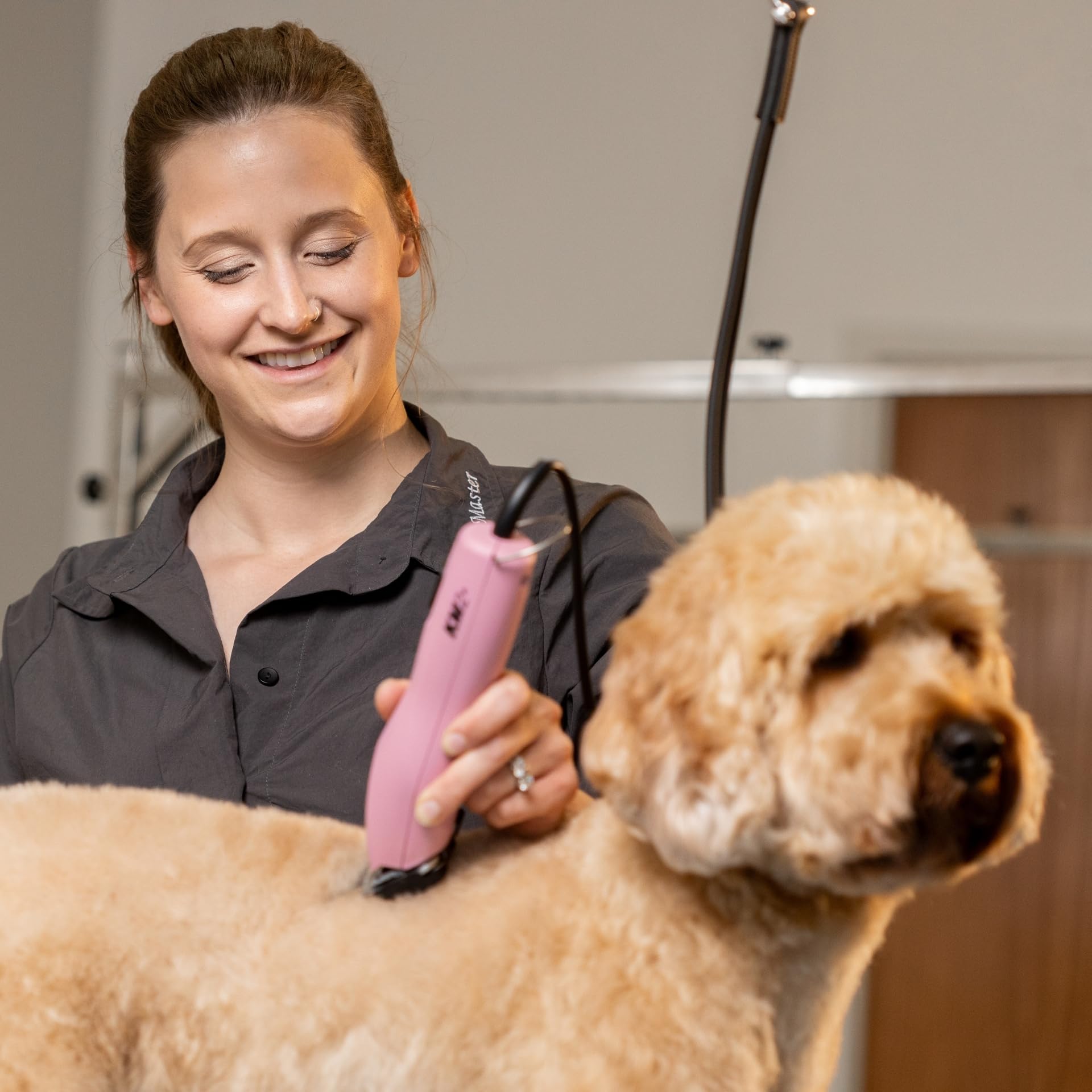 Agrarzone Wahl KM2+ Hundeschermaschine Schermaschine Hund Moser Tierpflege | Aufsteckkamm Set, Profi, Groomer, leise, vibrationsarm