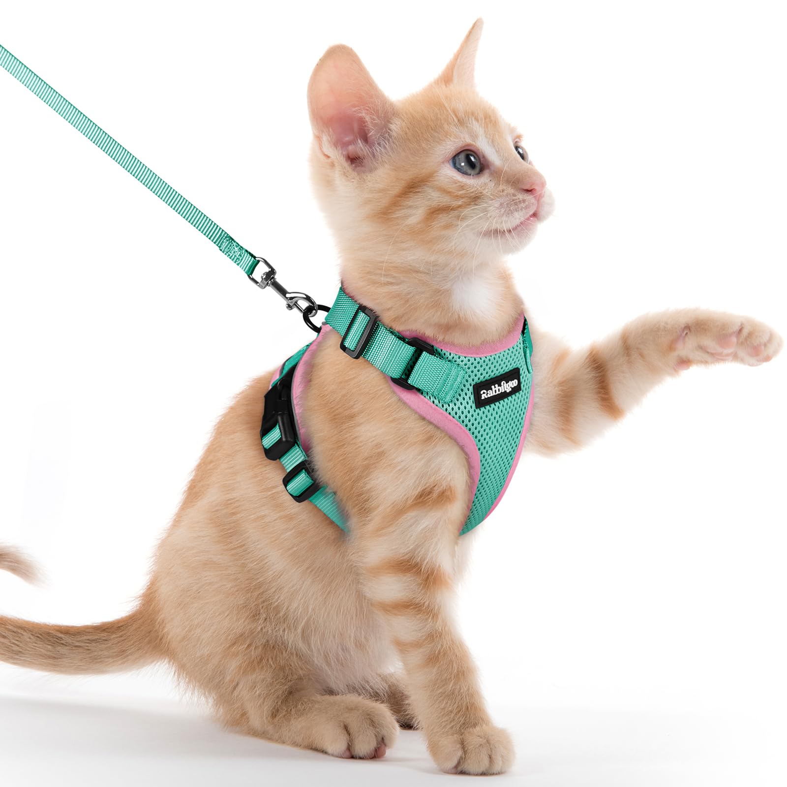 rabbitgoo Cat Harness and Leash Set, Escape Proof Vest, Green &amp; Pink