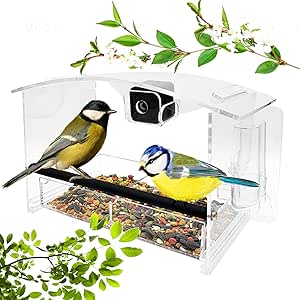 JUSTCHRIS Window Bird Feeders with Strong Suction Cups - Mini Camera and Water Dispenser Included - Bird Feeder Window Mount - Clear Window Bird Feeder - Acrylic Bird Feeder asin的图片
