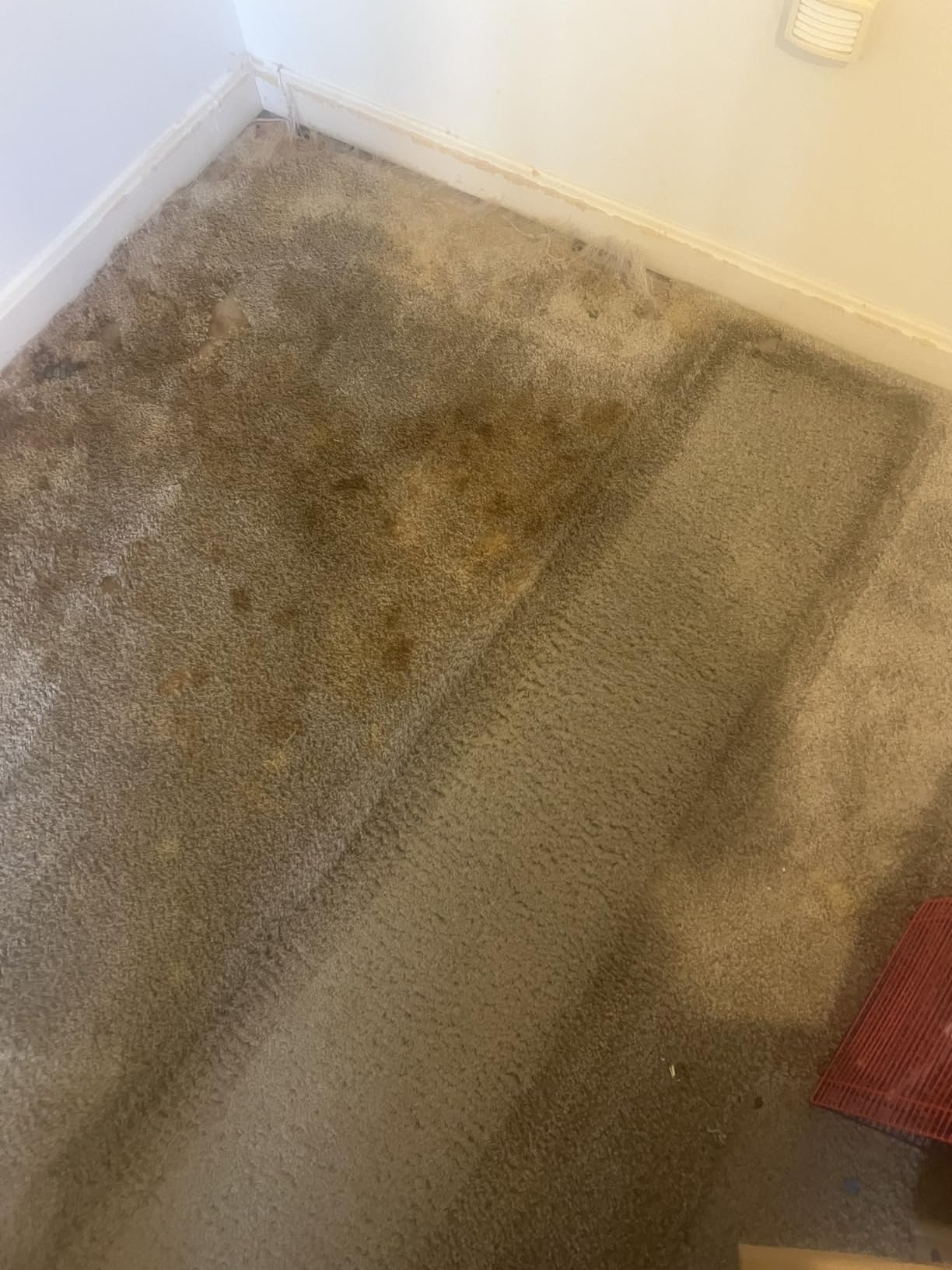 $14/mo - Finance Bundle of BISSELL Revolution HydroSteam Pet Carpet ...