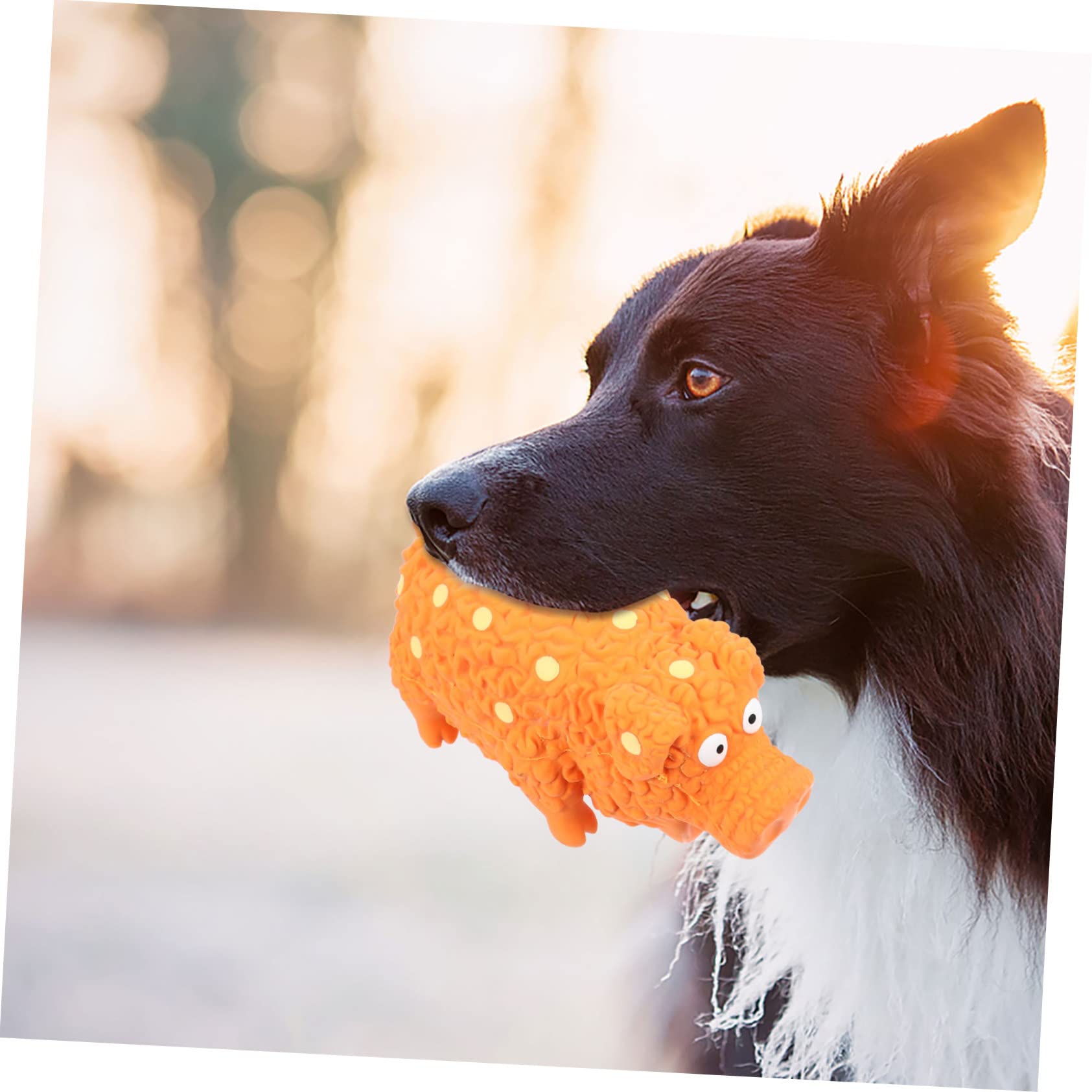 INOOMP 4stücke Teiliges Kauspielzeug Für Hunde Interaktives Latexspielzeug Mit Quietschfunktion Geeignet Für Welpen Und Kleine Hunde Fördert Zahngesundheit Und Spielverhalten