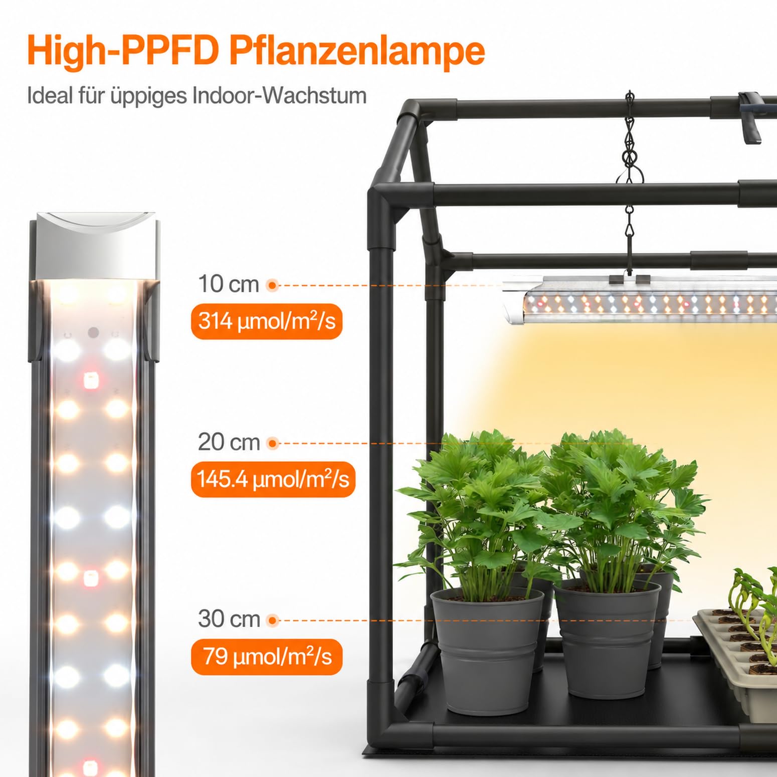 Bstrip Mini Gewächshaus Indoor mit Pflanzenlampe Vollspektrum, Zimmergewächshaus Pflanzenregal mit Timer (4/9/14H), Kleines Foliengewächshaus für Anzucht & Kräuter, wasserdichte Matte, 60x40x52cm