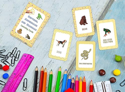 Miniatura 8 de Tarjetas de aprendizaje educativas de educación en casa (1-Deck)
