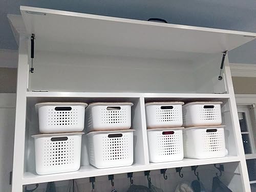 Miniatura 3 de Apexstone 80N18lb 6.9 pulgadas Gas Strut 4 unidades 80N Gas Strut 6.9 pulgadas Gas Strut Cabinet 80N 6.9 pulgadas Gas Spring Gas Shocks Lift Support