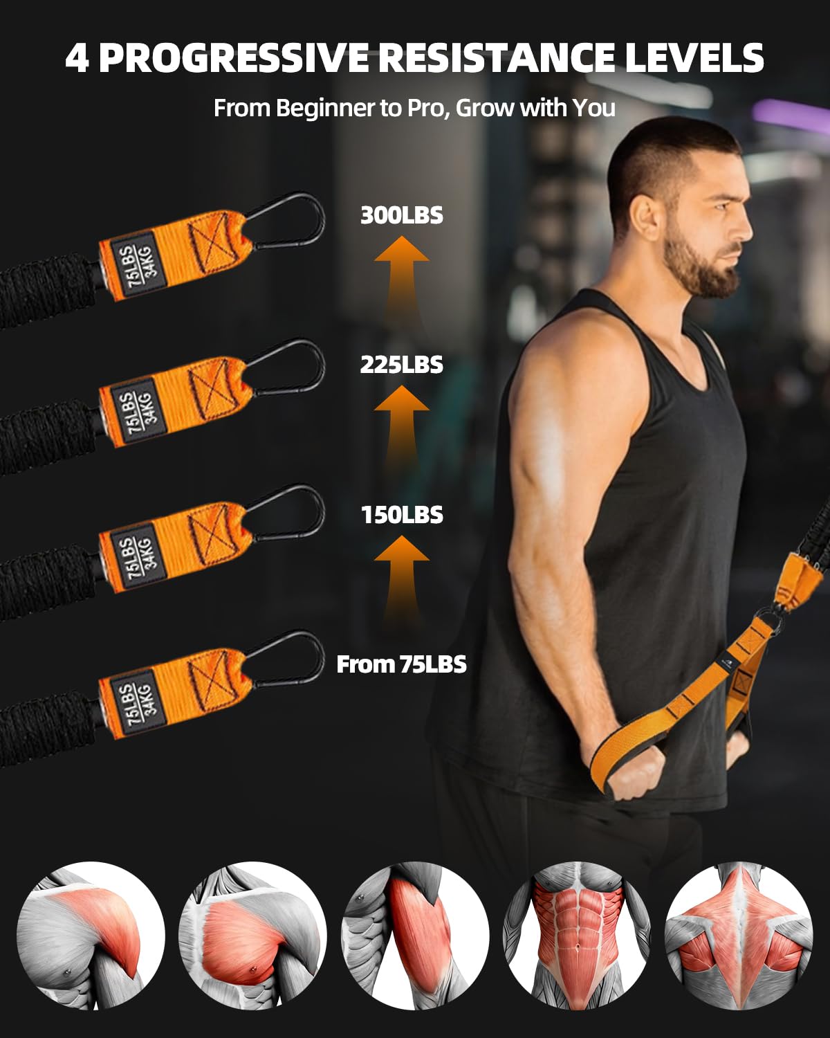 Abahub Set di Bande per Tricipiti con Ancoraggi Porta Regolabile, Banda Tricipiti per Fitness Casa, Allenamento Braccia e Esercizi Forza, Include Maniglie e Borsa, Principianti Home
