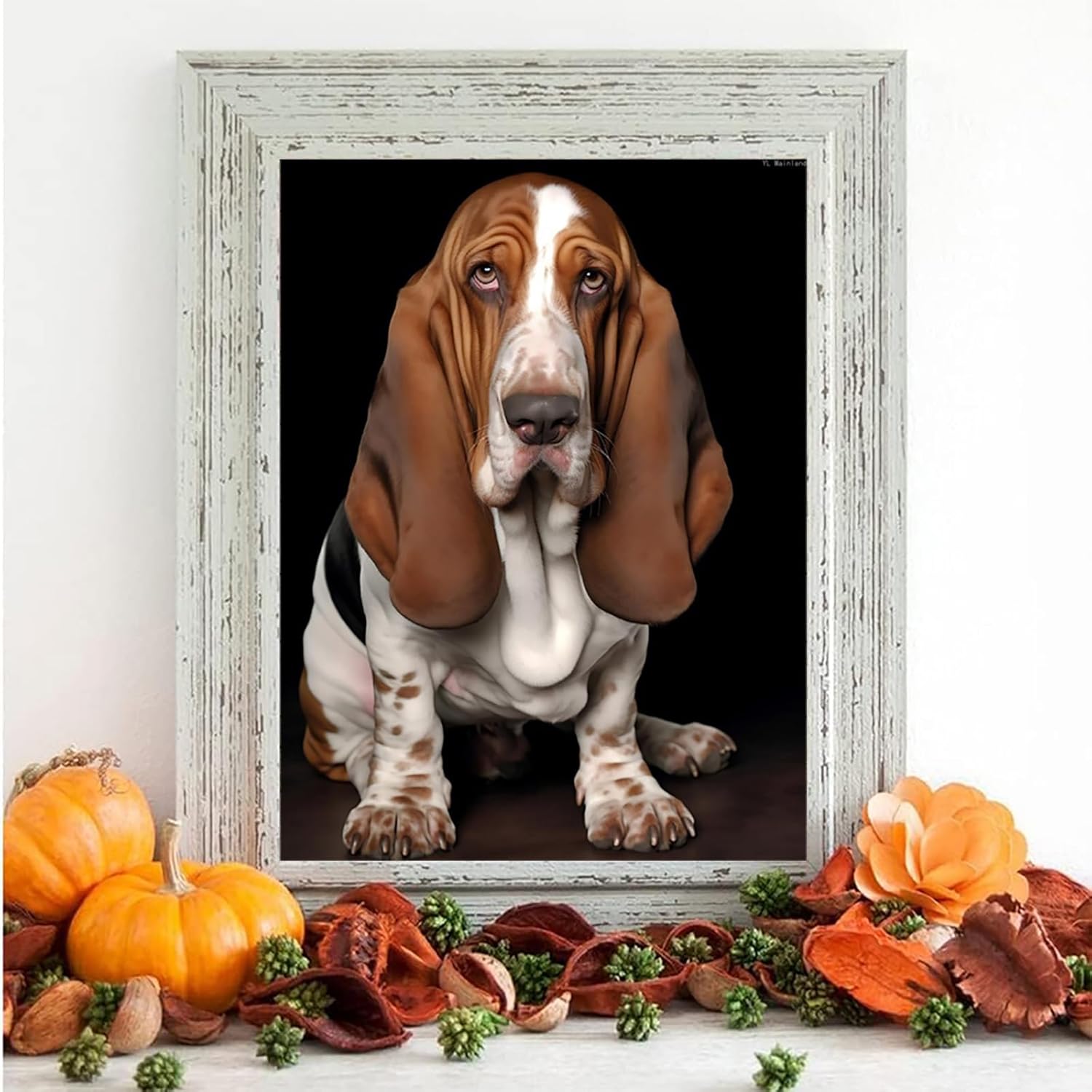 YL Mainland Basset Hound with White Diamond Painting Kits Funny Basset Hound Diamond Art for Adults, for Home Wall Decor Bedroom Decor or Gifts 12x16 inch