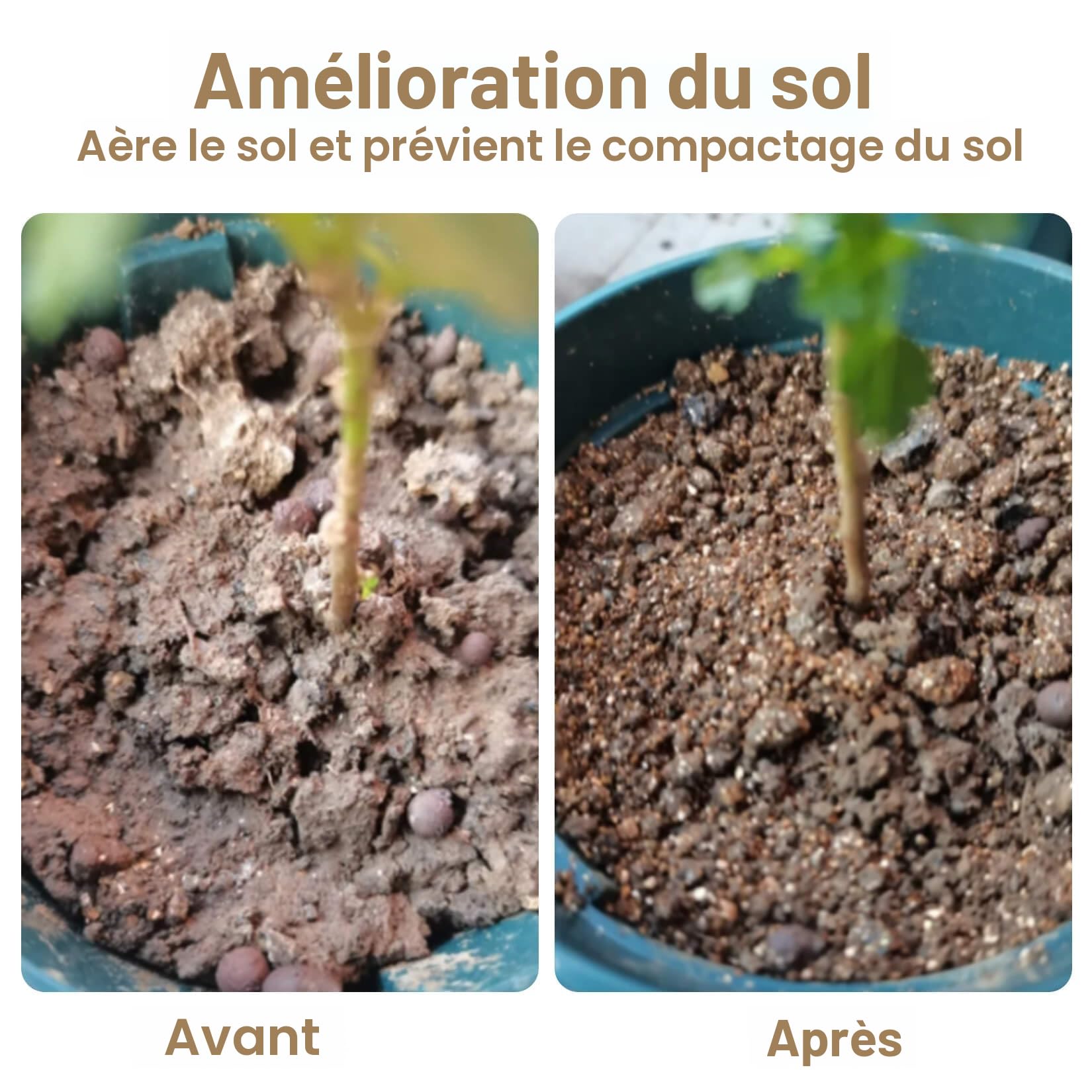 Vermiculite
