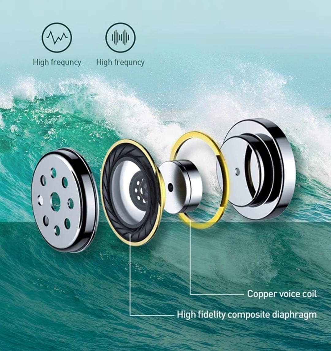 Diagram of earphone internal components