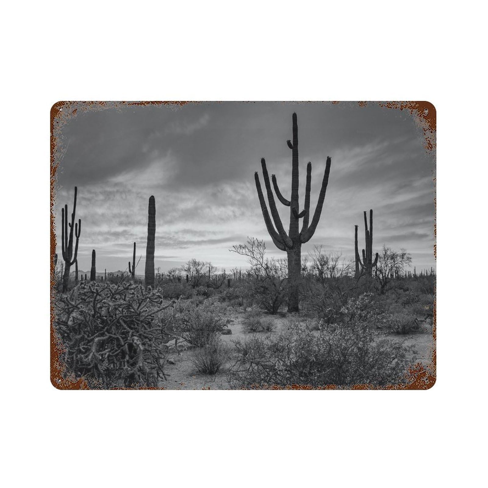 xiaoxiaoshen Black And White Arizona Photo Decor USA Wall Decor Art Metal Tin Poster Modern Home Decor Art Home Bar Shop Decorations Vintage Sign 30x40cm