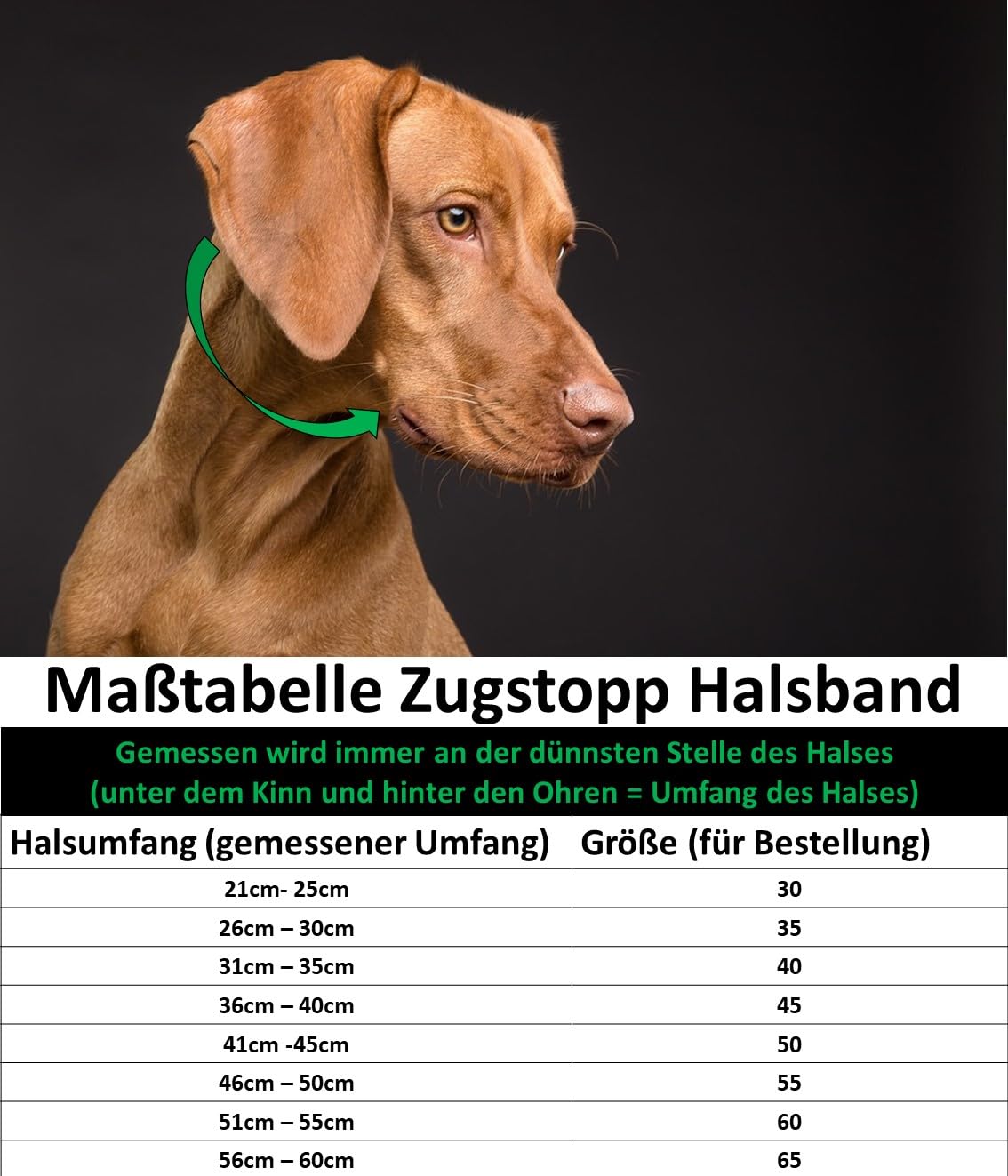 Hundehalsband Fettleder/Halsband ZugStopp Messing/kleine Hunde & große Hunde / 15mm / 20mm / 25mm / XXS - XL (65 Breite: 25mm, Pink)