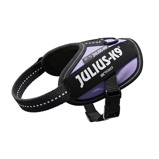 Arnés IDC Power, Tamaño: 2XS/Baby 2, Morado