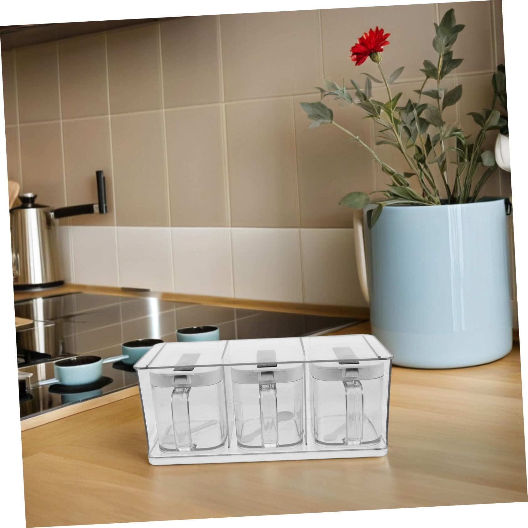 LABRIMP Boîte à Épices Cuisine Transparente avec Couvercle Étanche en Pet, Design Élégant et Simple, Rangement D'assaisonnements Cuisine, 1 Set Mural