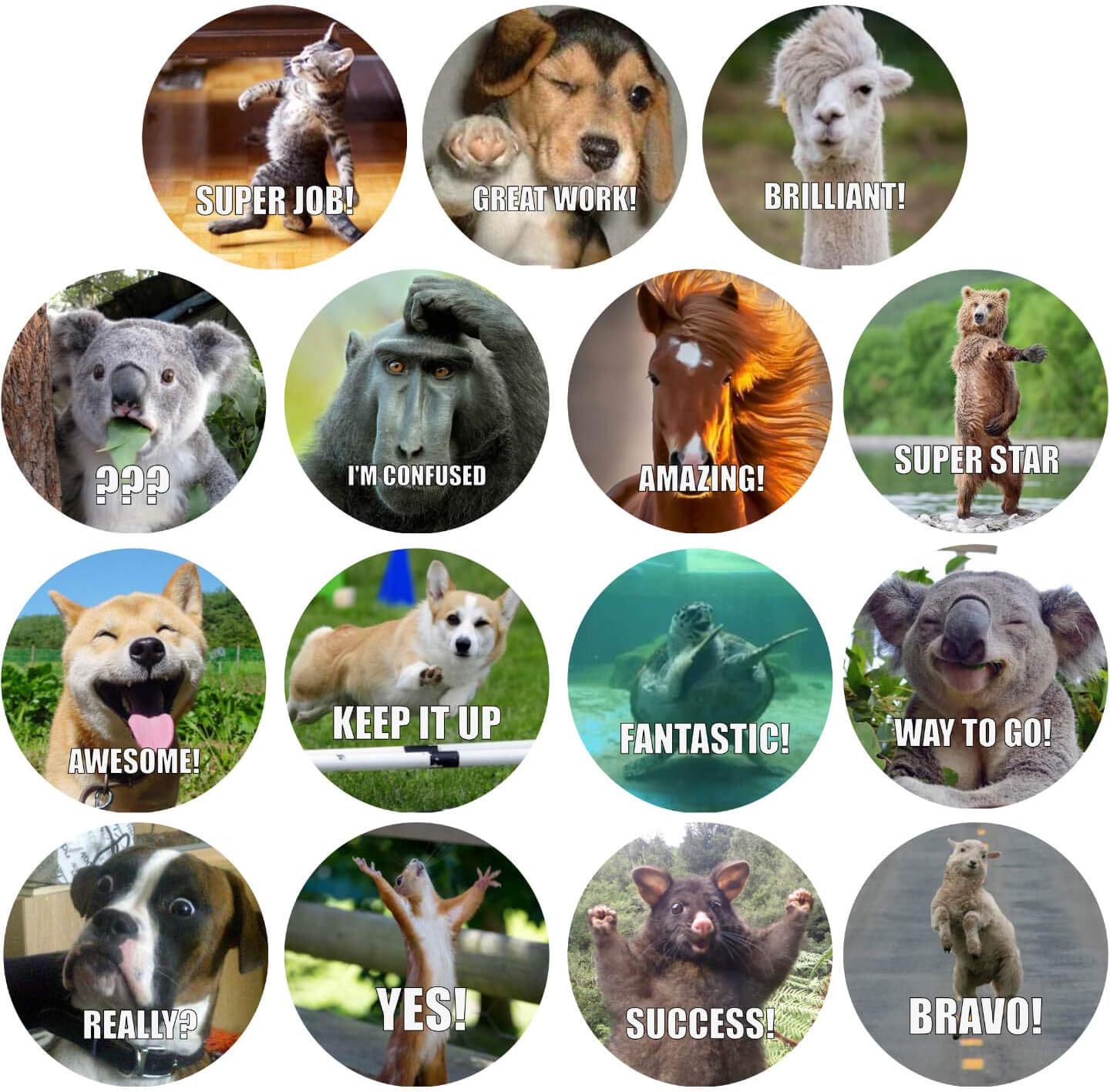 300 Pack Reward Stickers for Teachers. Fun Motivational & Incentive Stickers for Kids. Trendy Animal Meme Stickers for All Ages and All Classes.