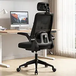 Cadeira de Escritório Ergonômica, Suporte 120kg, Ajuste Lombar, Apoio de Cabeça, Tela Mesh Premium, Giratória, Home Office (Preta)