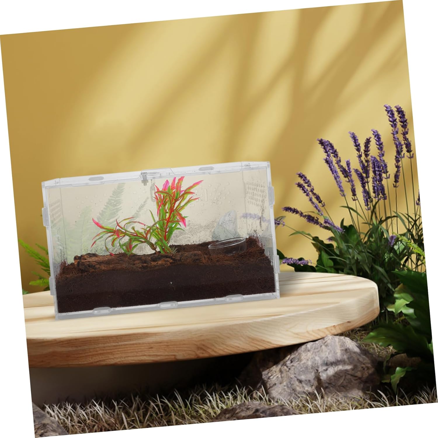 Turtle Tank Decor Snake Cage Acrylic Enclosure Gecko Home Easy to Clean Mantis Box