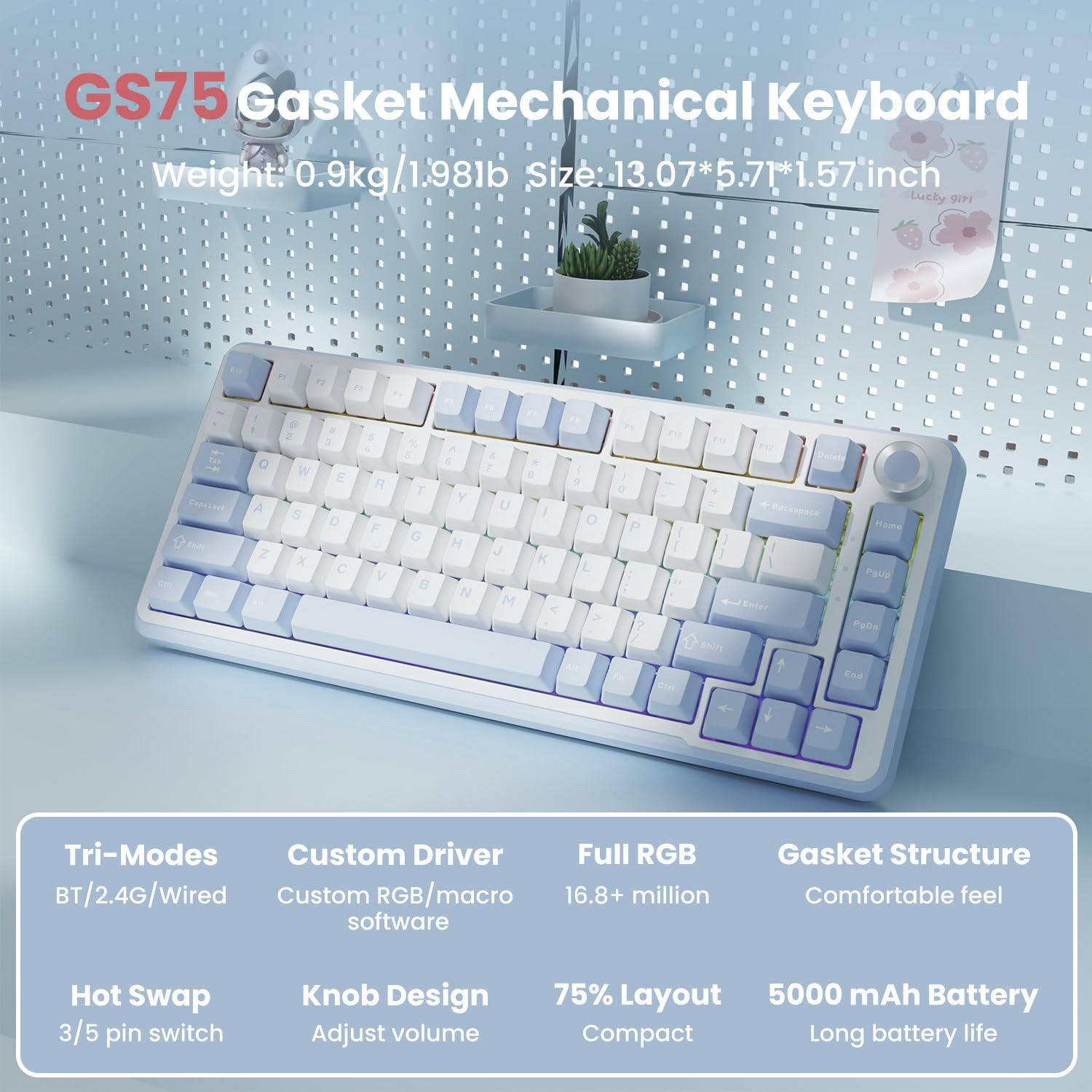 EWEADN GS75 Keyboard Features Overview