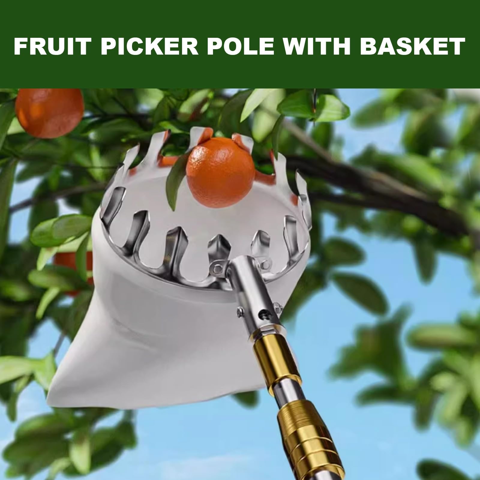 Perche à Fruits, Pince à Fruits télescopique en Acier Inoxydable, Outil de cueillette for poires, Citrons, Oranges, abricots et Verts(3m)