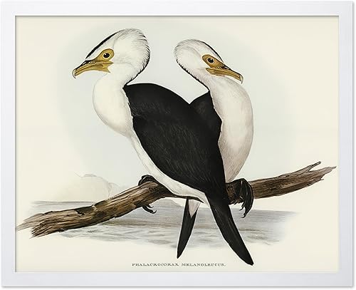 Miniatura 69 de Poster Master Póster vintage de colibríes, impresión de formas de arte retro en la naturaleza, arte de pájaros, regalo para él, ella y amante de los