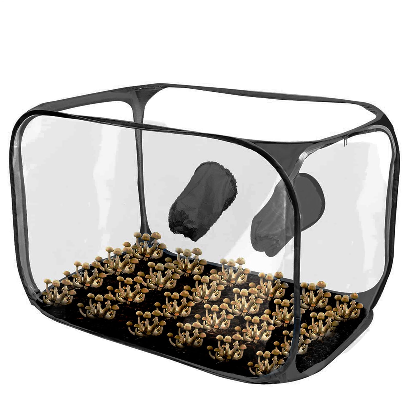 Cámara de Crecimiento De Setas - Cúpula Transparente Portátil, Caja De Transpirable | Cerca de Siembra Reutilizable De Apertura Ancha, Válvulas De Malla para El Apartamento, Producción De