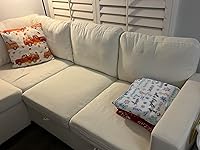 Review Image by Bin Qin Bin Qin