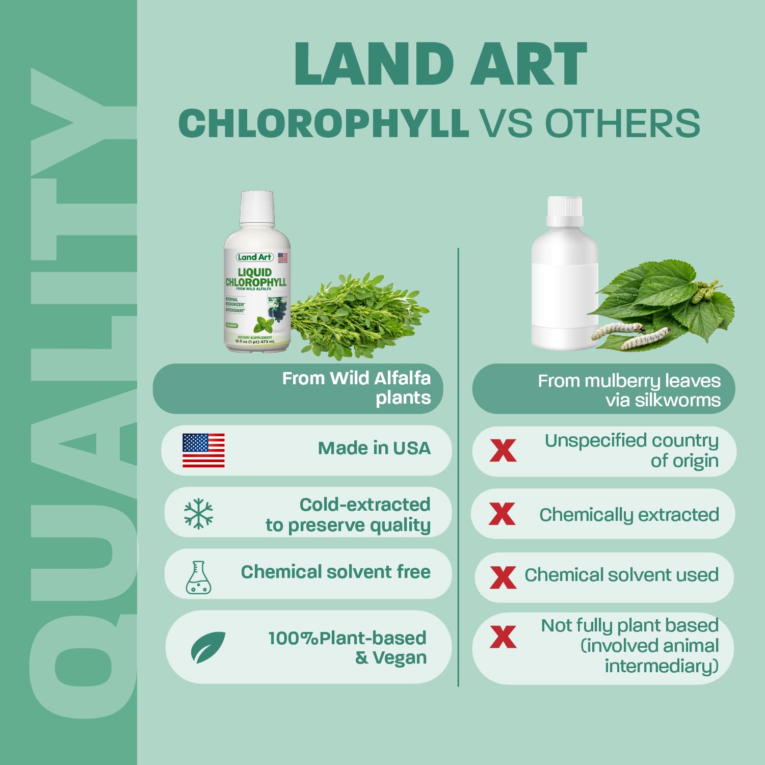 Chlorophyll, Cold-Extracted, Wild Alfalfa, Body Odor, Mint, 16 fl oz — Amazon image 7