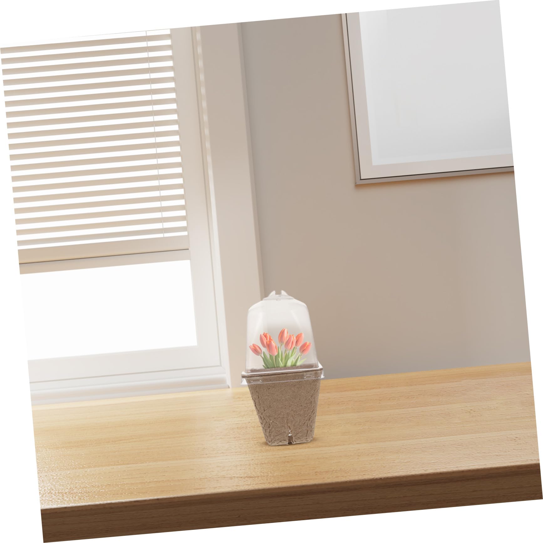 iplusmile Pots de Semis Carrés avec Dôme Ventilé en Pâte de Papier Lot de 36