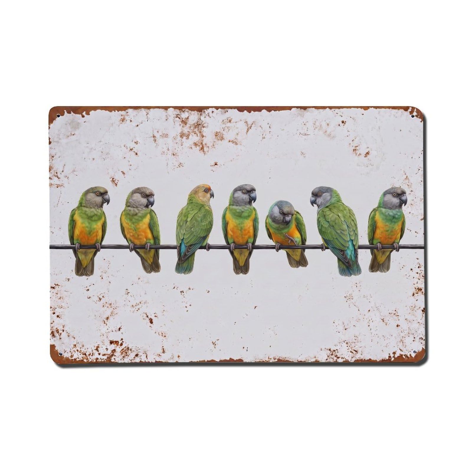 Vintage Retro Birds Senegal Parrot Metal Tin Sign