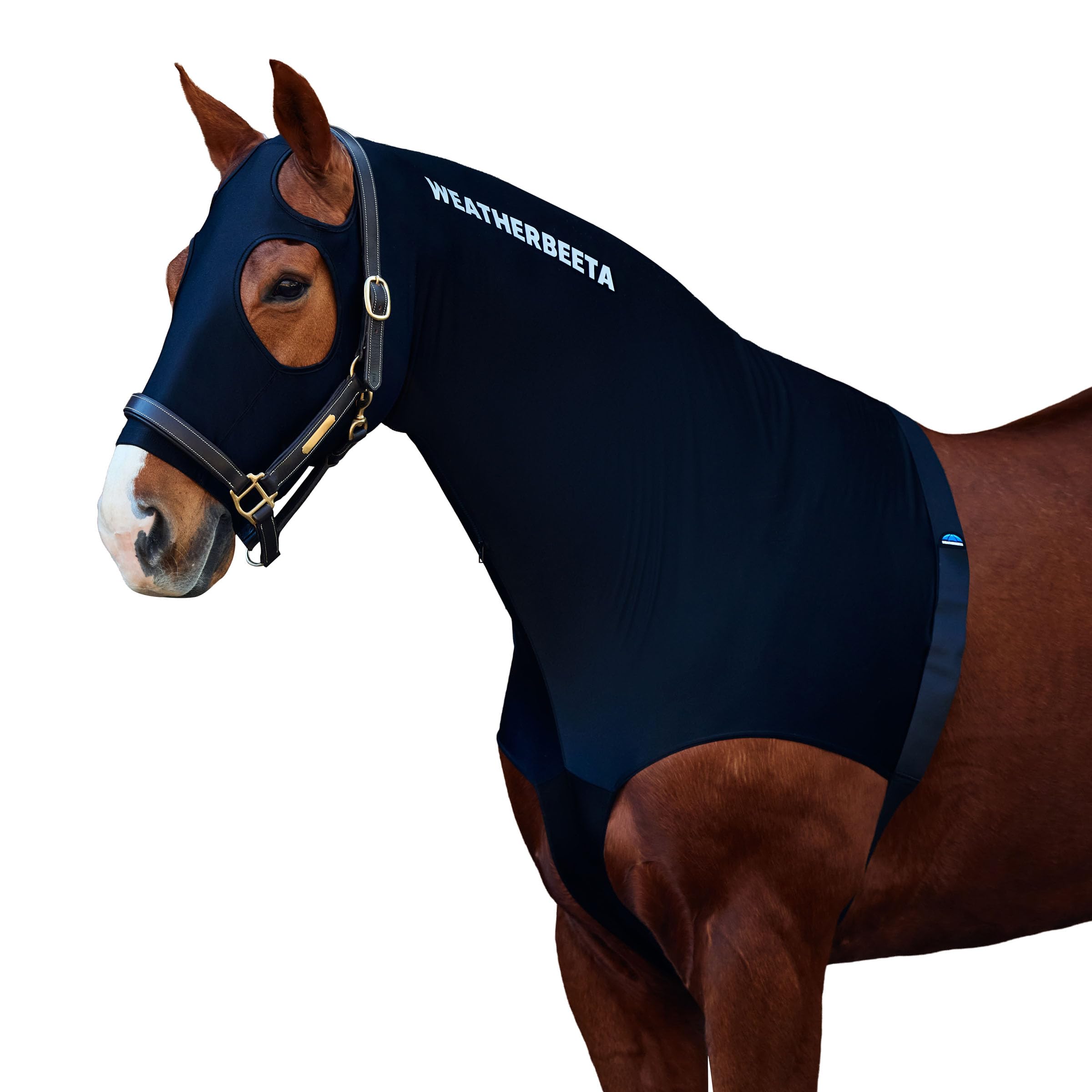 WeatherBeeta Stretch Hood with Zip, Black, Cob